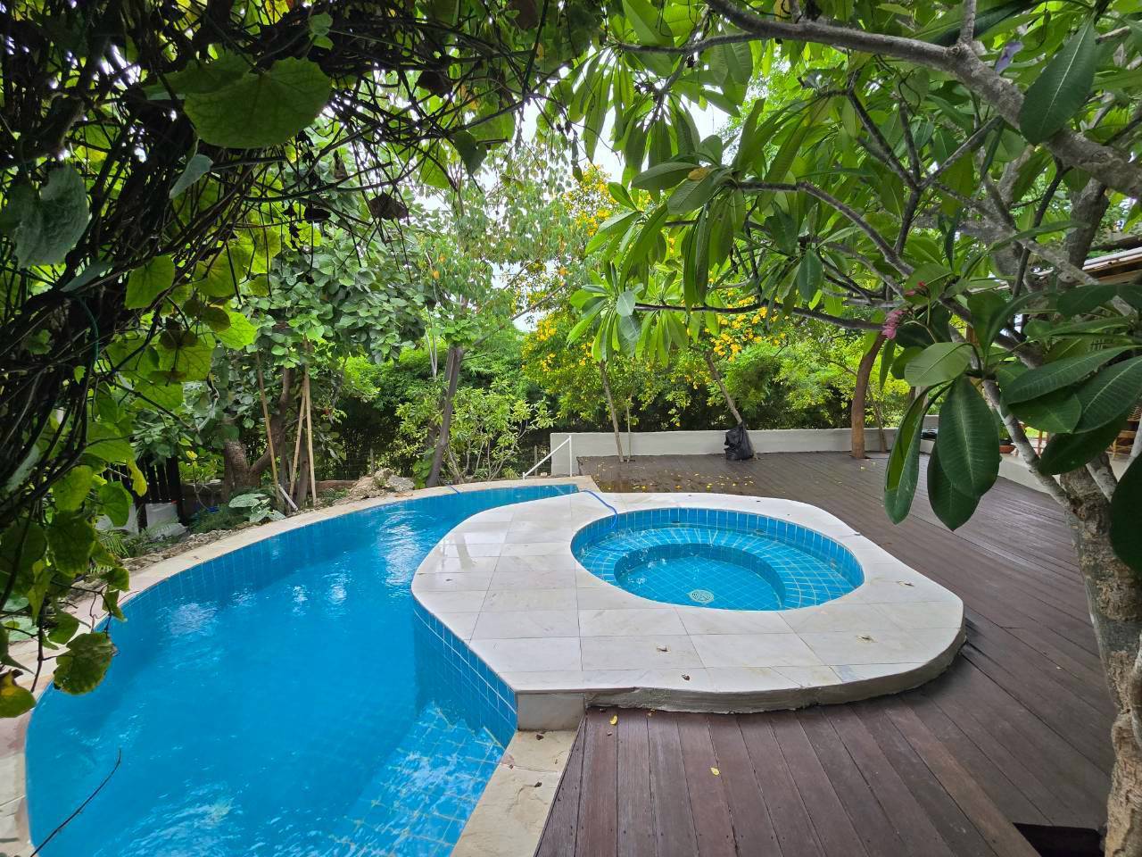 Outdoor spa pool surrounded by tropical greenery